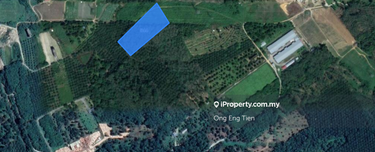 2.75 Acres of Agricultural Land Kalumpang Tanjung Malim Selangor 1