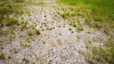 Bungalow land for Sale 1