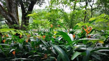 Bungalow land for Sale 1