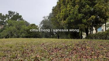 Bungalow land for Sale 1