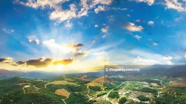 Agriculture land for Sale 1