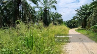 Agriculture land for Sale 1
