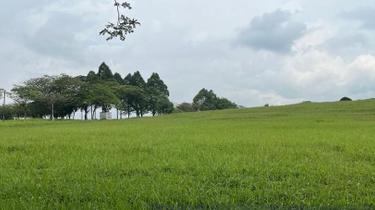 Fresh Air Bungalow Land with Scenic Green Views 1