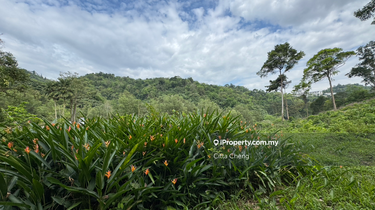 Bungalow land for Sale 1