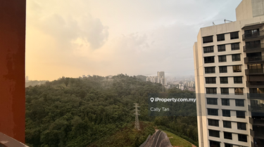 Please do not hesitate to contact me for viewing arrangement 1