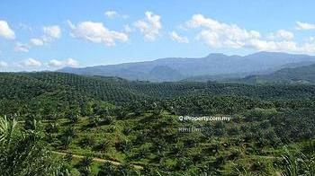 Negeri Sembilan Bahau Jempol Palm Oil Land For Sale 1