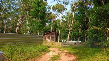 Negeri Sembilan Agricultural Land For Sale Iproperty Com My