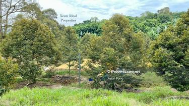 Freehold 8 Acres Durian Orchard @ Titi, Jelebu, Mukim Glami Lemi 1