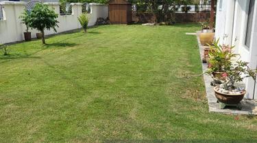 Corner Semi-D in Taman Zaaba with Park Views, Security & Prime Access 1