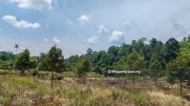 Little Durian Orchard in Raub 1