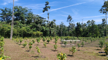 Cheap! 10acre Freehold!! Ulu Yam, Batu 30 Batang Kali Agriculture Land 1