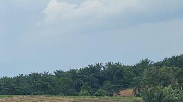 Zoning Residential Land at Tebrau for sale 1