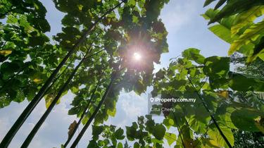 Bungalow land for Sale 1
