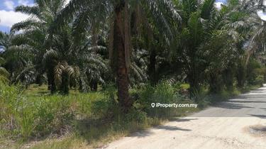 Industrial land for Sale 1
