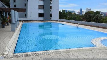 Prima 16 Second Chapter For Sale 1