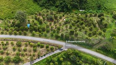 Perpertuity durian land for sale 1