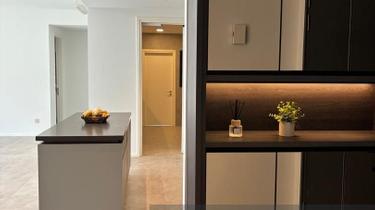 Allevia for rent  1