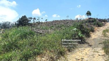 Agriculture land for Sale 1