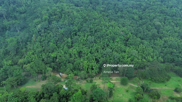 123-acres beautiful agri land 1