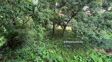 Great Potential to be Rebuilt into Your Dream Home 1