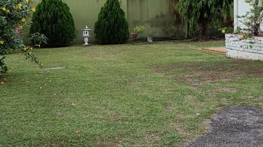 2 Storey Bungalow at Jalan Ramanathan /Jln Scott For Sale 1