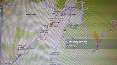 Balik Pulau Agriculture land for sales 1
