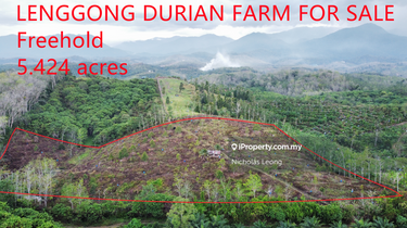 Lenggong Ayer Kala 5.424 acres durian farm only 599k 1