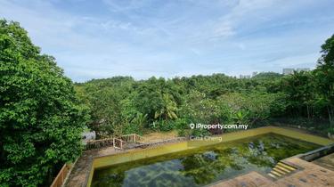 Bungalow house with big land for sale 1