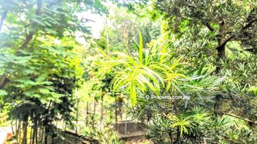 Bungalow land for Sale 1