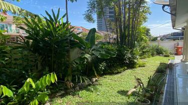 Good location rare corner top condition  1