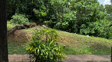 Freehold Bungalow land for sale in Seputeh Heights 1