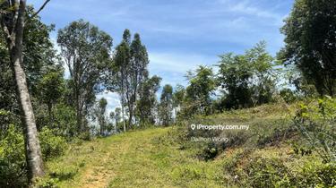 Agriculture land for Sale 1