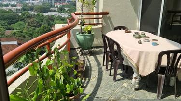 Duplex unit @ Tara 33 for sale , kindly pm me for more info 1