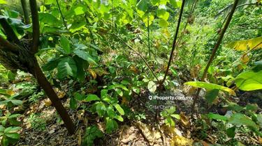 Bungalow Land @ Kenny Hills For Sale 1