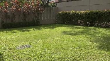 Bungalow for Sale 1