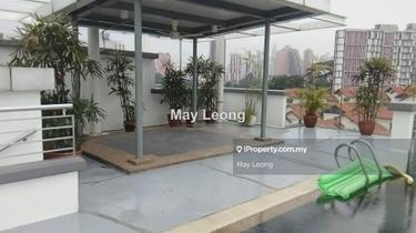 Penthouse with individual pool on roof top, move in ready 1