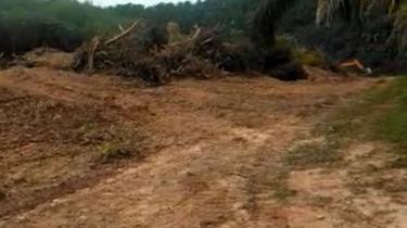Selling 585k, 3 acres freehold agricultural land  1