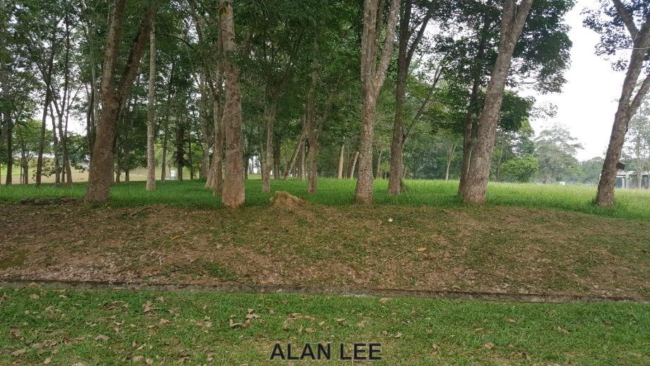Exclusive Land for Sale