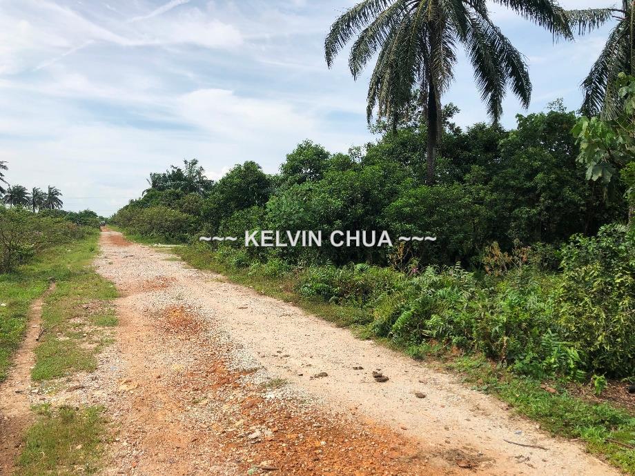 Agriculture land for Sale