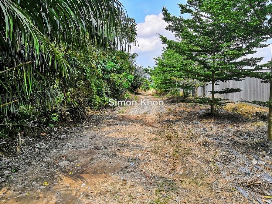 Agriculture land for Sale