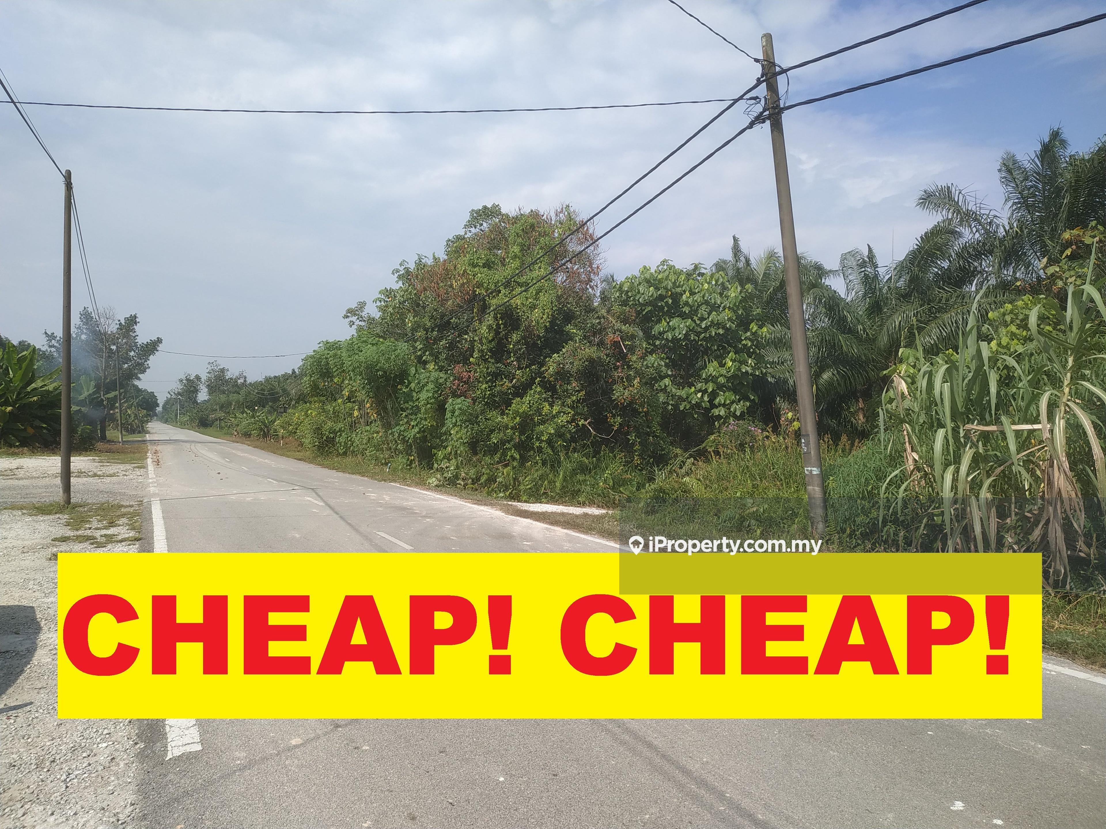 Agriculture land for Sale