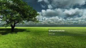 Bungalow land for Sale