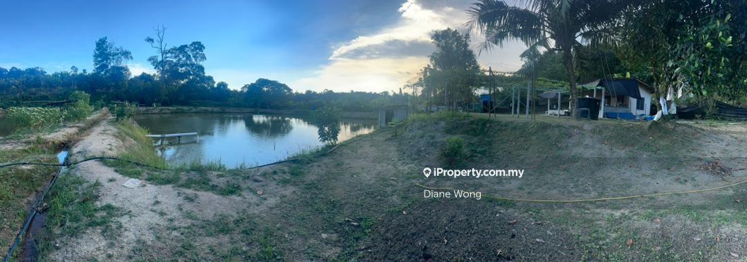 Agricultural Land for sale