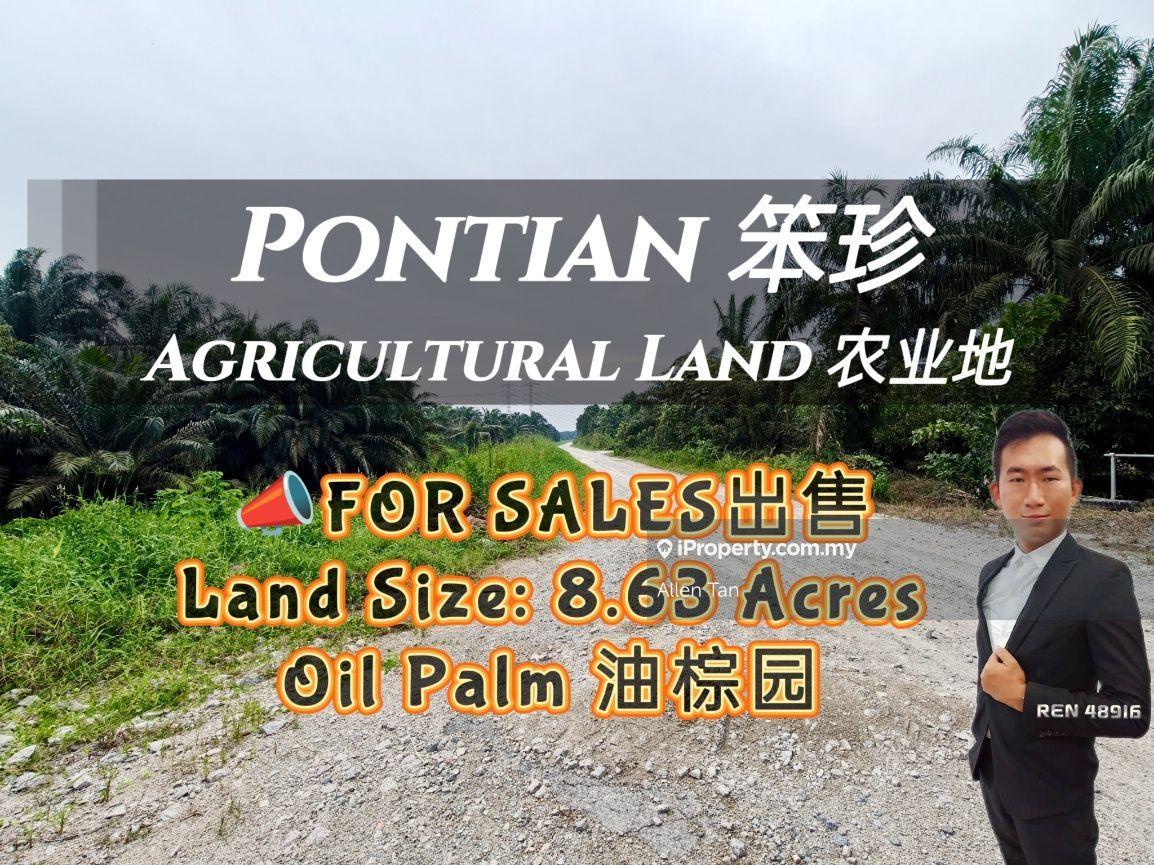 Pontian Oil Palm Land For Sale