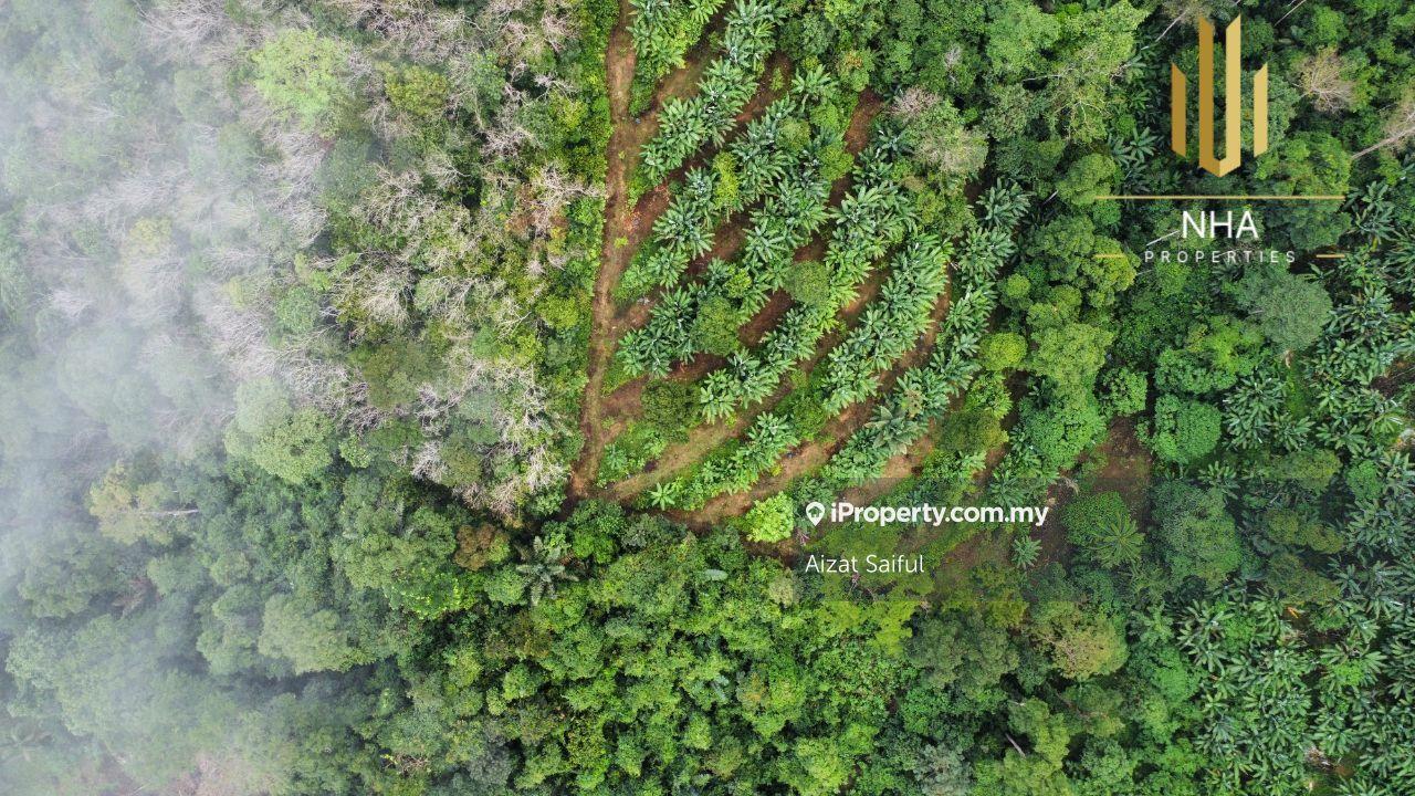 Dusun  durian 4 ekar ulu jelebu kuala klawang ada anak air 