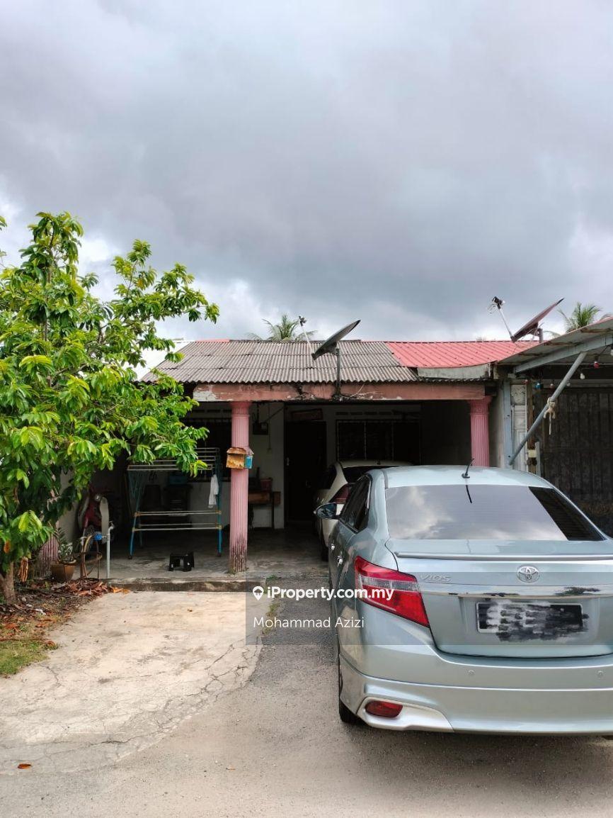 Teres sungai isap murah