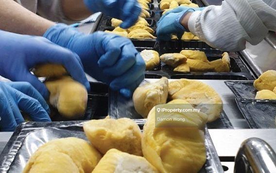 Durian Processing Plant and Business equity share