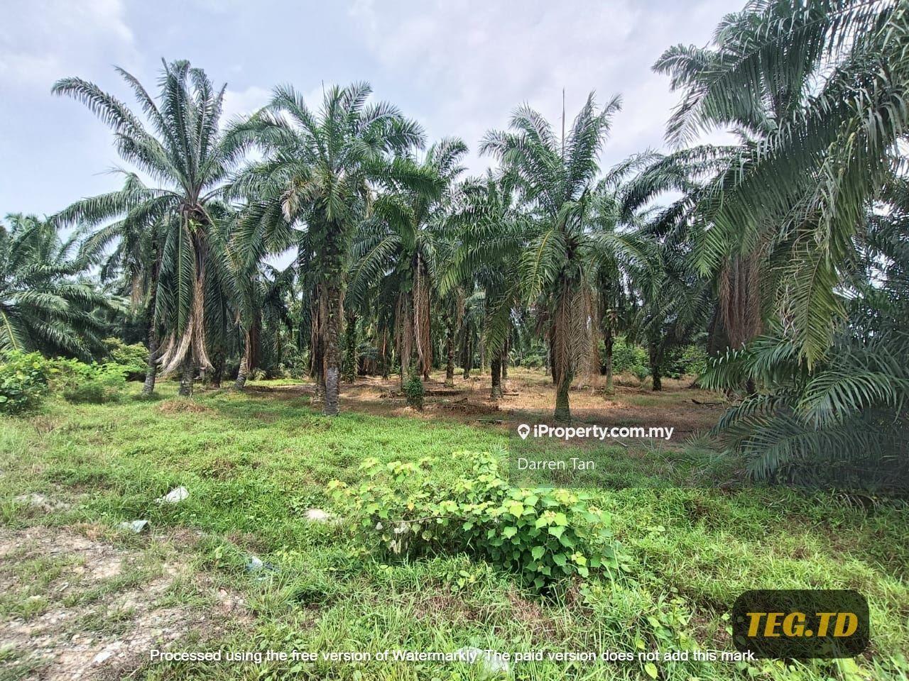Agriculture Land Olak Lempit,Banting For Sale
