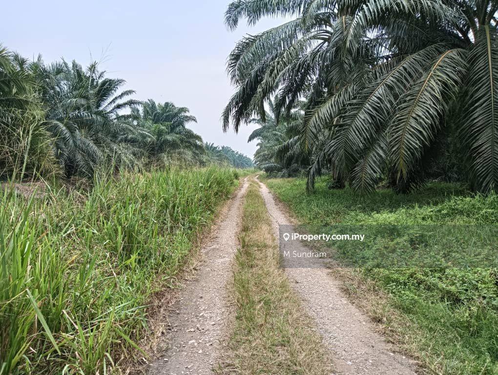 Land For Sale At Jalan Menguang, Telok Panglima Garang