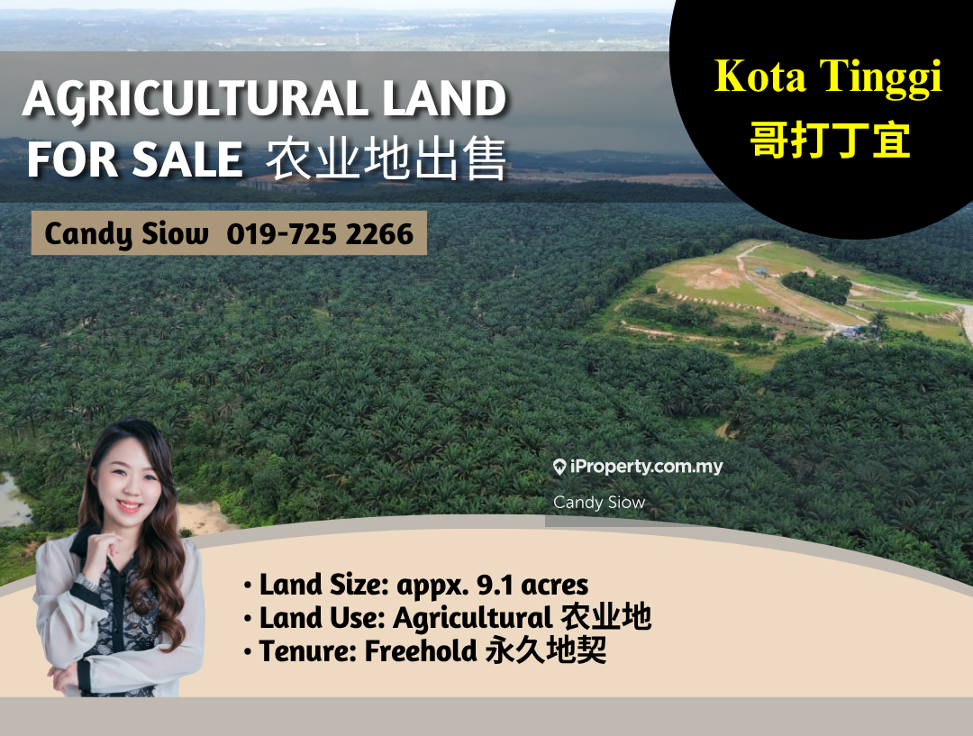 Kota Tinggi 9.1acres Agricultural Land